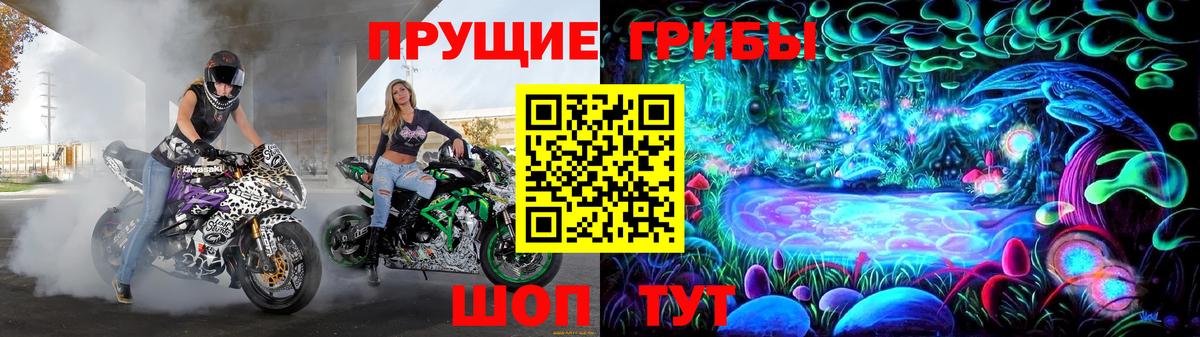 Камышлов  Галлюциногенные грибы ЛСД  Вход с VPN 